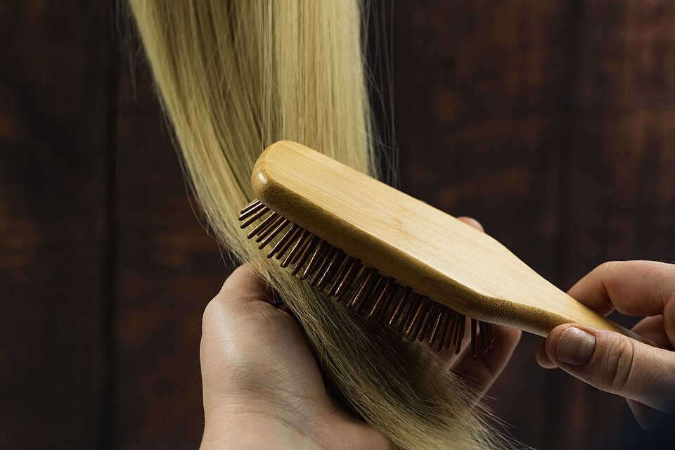 Detangling Hair Brush